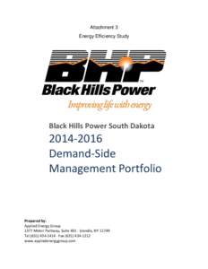Attachment 3 Energy Efficiency Study Black Hills Power South Dakota[removed]