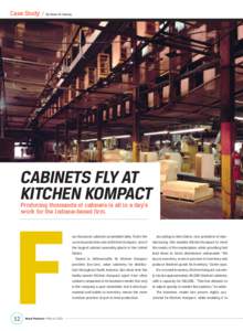 Case Study / By Karen M. Koenig  Cabinets Fly at