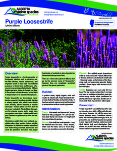 abinvasives.ca [removed] Purple Loosestrife  Last Updated January 2014