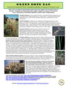 Green Gone Bad  Featured Ornamental Plant: Cortaderia selloana (Uruguayan Pampas Grass) Some exotic ornamental plants behave badly when they escape from the place they are planted. Infestations of these plants have negat