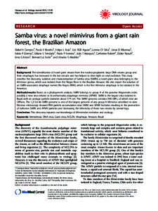 Effect of ultrasound on herpes simplex virus infection in cell culture