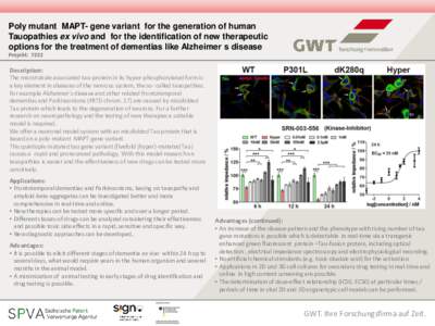 Poly mutant MAPT- gene variant for the generation of human Tauopathies ex vivo and for the identification of new therapeutic options for the treatment of dementias like Alzheimer s disease Projekt: 7222  Description: