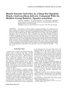 JOURNAL OF EXPERIMENTAL ZOOLOGY 300A:133–[removed]Muscle Enzyme Activities in a Deep-Sea Squaloid Shark, Centroscyllium fabricii, Compared With Its Shallow-Living Relative, Squalus acanthias JASON R. TREBERG1n, R. A