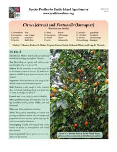 Species Profiles for Pacific Island Agroforestry www.traditionaltree.org April 2006 ver. 2.1