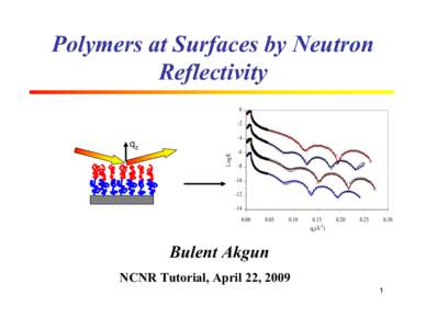 Polymers at Surfaces by Neutron Reflectivity[removed]