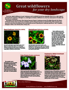 Great wildf lowers  for your dry landscape If you have added wildflowers to your landscape, you’ve probably learned how adaptable they are to a wide range of environmental conditions. Although it is a challenge to intr
