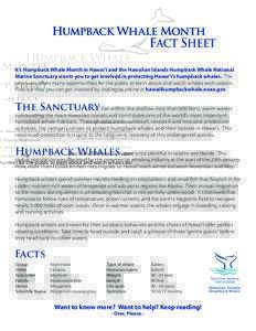 Fact Sheet It’s Humpback Whale Month in Hawai‘i and the Hawaiian Islands Humpback Whale National Marine Sanctuary wants you to get involved in protecting Hawai‘i’s humpback whales. The sanctuary offers many oppor