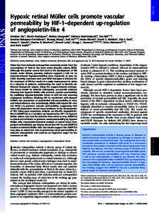 PNAS PLUS  Hypoxic retinal Müller cells promote vascular permeability by HIF-1–dependent up-regulation of angiopoietin-like 4 Xiaoban Xina, Murilo Rodriguesa, Mahaa Umapathia, Fabiana Kashiwabuchia, Tao Mab,c,d,