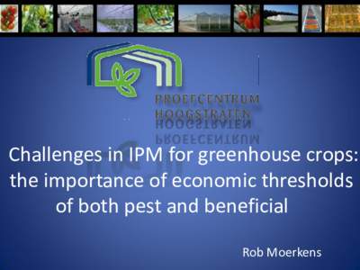 Challenges in IPM for greenhouse crops: the importance of economic thresholds of both pest and beneficial Rob Moerkens  Introduction