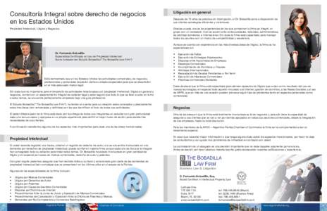 Consultoría Integral sobre derecho de negocios en los Estados Unidos Litigación en general  Propiedad Intelectual, Litigios y Negocios.