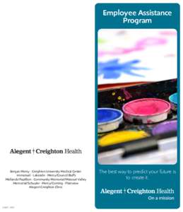 Alegent Health System / Occupational safety and health / Employee assistance program / Employment compensation