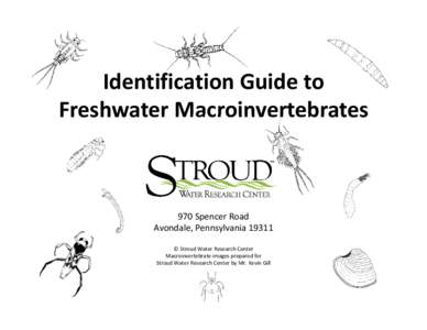 Microsoft PowerPoint - Identification Guide to Freshwater Macroinvertebrates.pptx