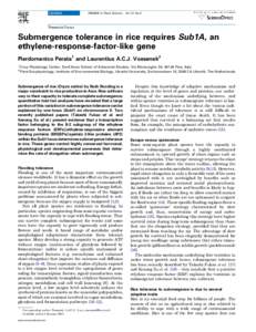 Genetics / Aerenchyma / Plant physiology / Expansin / Rice / Plant hormone / Arabidopsis thaliana / Gene / Ethylene / Biology / Model organisms / Molecular biology