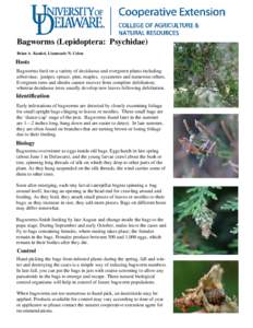Bagworms (Lepidoptera: Psychidae) Brian A. Kunkel, Lianmarie N. Colon Hosts Bagworms feed on a variety of deciduous and evergreen plants including arborvitae, juniper, spruce, pine, maples, sycamores and numerous others.