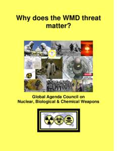 Why does the WMD threat matter? Global Agenda Council on Nuclear, Biological & Chemical Weapons