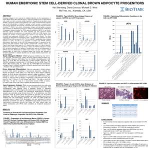 HUMAN EMBRYONIC STEM CELL-DERIVED CLONAL BROWN ADIPOCYTE PROGENITORS Hal Sternberg, David Larocca, Michael D. West BioTime, Inc., Alameda, CA, USA ABSTRACT Emerging strategies for the treatment of metabolic disorders via