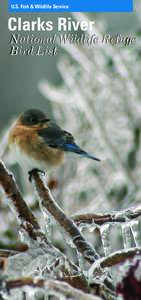 U.S. Fish & Wildlife Service  Clarks River National Wildlife Refuge Bird List