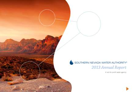 Southern Nevada Water Authority 2013 Annual Report