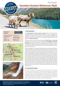 Trip Dossier  Canadian Rockies Wilderness Walk Tour At a glance: