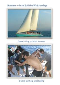 Hammer – Maxi Sail the Whitsundays  Great Sailing on Maxi Hammer Guests can help with Sailing