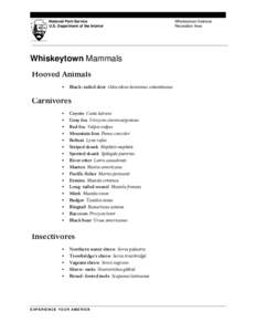 Microsoft Word - Mammals_2.doc