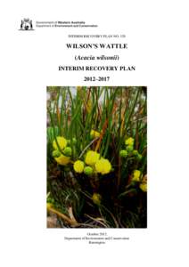 INTERIM RECOVERY PLAN NO[removed]WILSON’S WATTLE (Acacia wilsonii) INTERIM RECOVERY PLAN 2012–2017