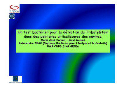 Un test bactérien pour la détection du Tributylétain dans des peintures antisalissures des navires. Marie José Durand, Hervé Gueuné