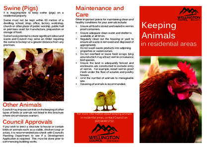 Animals / Biological pest control / Bird / Dinosaurs / Chicken / Domesticated turkey / Zoology / Agriculture / Aviculture