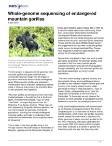 Zoology / Mountain gorilla / Dian Fossey / Western gorilla / Congo / Bushmeat / Eastern lowland gorilla / Full genome sequencing / Eastern gorilla / Gorillas / Fauna of Africa / Biology
