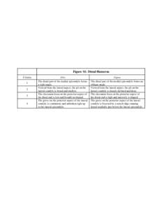 Figure S1: Distal Humerus Criteria[removed]