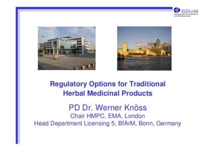 Bundesinstitut für Arzneimittel und Medizinprodukte Regulatory Options for Traditional Herbal Medicinal Products