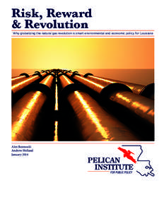 Risk, Reward & Revolution Why globalizing the natural gas revolution is smart environmental and economic policy for Louisiana Alex Bozmoski Andrew Holland