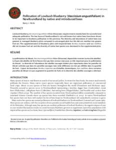 J. Acad. Entomol. Soc. 7: [removed]Pollination of Lowbush Blueberry (Vaccinium angustifolium) in Newfoundland by native and introduced bees Barry J. Hicks