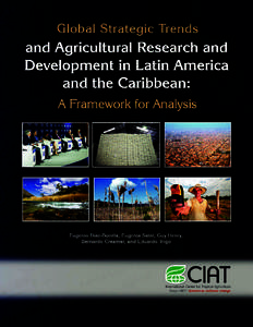 GLOBAL STRATEGIC TRENDS AND AGRICULTURAL RESEARCH AND DEVELOPMENT IN LATIN AMERICA AND THE CARIBBEAN: A FRAMEWORK FOR ANALYSIS