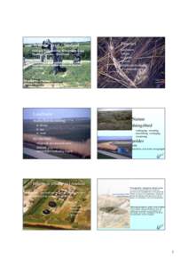 Synthese Texel - Ameland Vlieland, Terschelling, Schiermonnikoog Waddeneilanden - Vasteland Samenstelling van afzonderlijke elementen tot nieuw geheel waar kennis omtrent de delen aan het geheel vooraf ging.