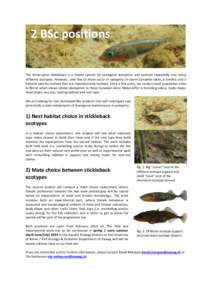 2 BSc positions The three-spine stickleback is a model system for ecological speciation and evolved repeatedly into many different ecotypes. However, only few of these occur in sympatry: In seven Canadian lakes, a benthi