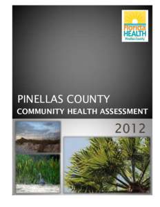 PINELLAS COUNTY COMMUNITY HEALTH ASSESSMENT[removed]Pinellas County | Community Health Assessment