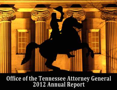 Tennessee Supreme Court / State governments of the United States / Supreme court / Supreme Court of the United States / Tennessee / Supreme Court of Ireland / Judiciary / Standing / Missouri Attorney General / Southern United States / Confederate States of America / Government of Tennessee