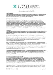 Gram-negative bacteria / Beta-lactam antibiotics / Antibiotics / Stenotrophomonas maltophilia / Trimethoprim/sulfamethoxazole / Stenotrophomonas / Colistin / Beta-lactamase / Tigecycline / Bacteria / Microbiology / Xanthomonadales