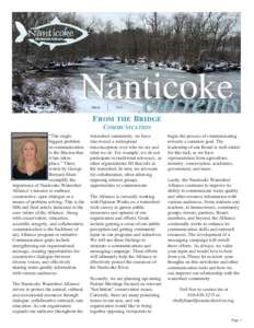 Nanticoke currents March 2015