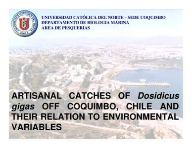 UNIVERSIDAD CATÓLICA DEL NORTE – SEDE COQUIMBO DEPARTAMENTO DE BIOLOGIA MARINA AREA DE PESQUERIAS ARTISANAL CATCHES OF Dosidicus gigas OFF COQUIMBO, CHILE AND