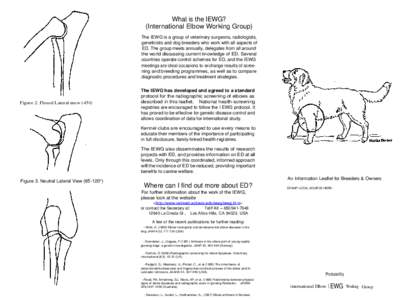 What is the IEWG? (International Elbow Working Group) The IEWG is a group of veterinary surgeons, radiologists,