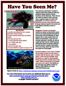 Lionfish identification flyer