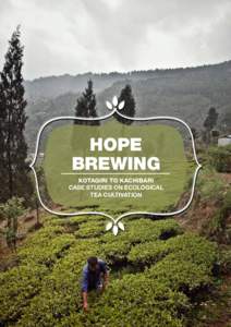 HOPE BREWING Kotagiri to KachibarI Case Studies on Ecological Tea Cultivation