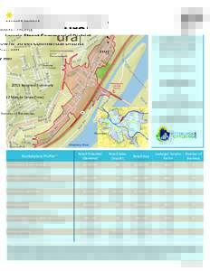 MARKET PROFILE  Lowrie Street Commercial District Troy Hill 2015 Business Summary (2 Minute Drive Time)
