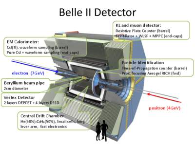 Belle II Detector KL and muon detector: Resistive Plate Counter (barrel) Scintillator + WLSF + MPPC (end-caps)  EM Calorimeter: