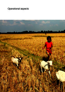 Operational aspects  84 Norokul Begum takes her goats to feed in a freshly harvested rice paddy. Jalsora village, Bangladesh.