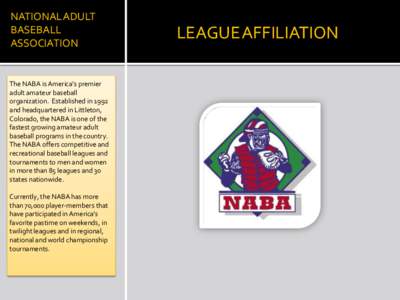 NATIONAL ADULT BASEBALL ASSOCIATION The NABA is America’s premier adult amateur baseball