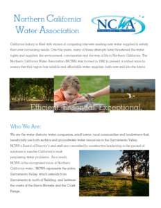 Northern California Water Association California history is filled with stories of competing interests seeking new water supplies to satisfy their ever increasing needs. Over the years, many of these attempts have threat