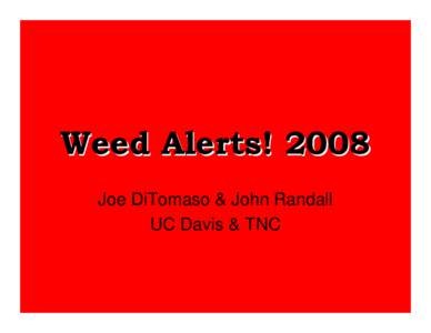 Weed Alerts! 2008 Joe DiTomaso & John Randall UC Davis & TNC Plants that are already weedy or invasive to some